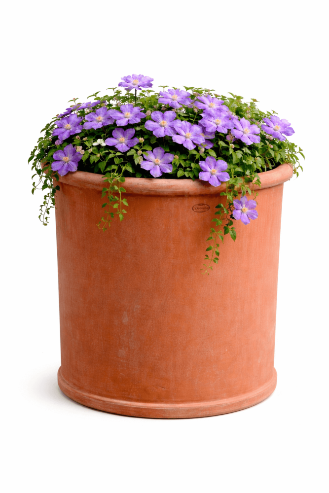 Semicolare liscio – pot mural classique en terre cuite d’Impruneta